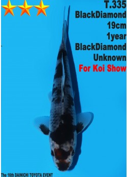 Black Diamond - 25 cm