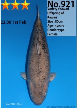 Kawari 82 cm - März 2022